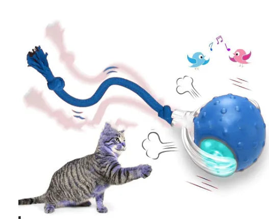 Interactive cat toy ball with feather tail and LED lights in red colour option