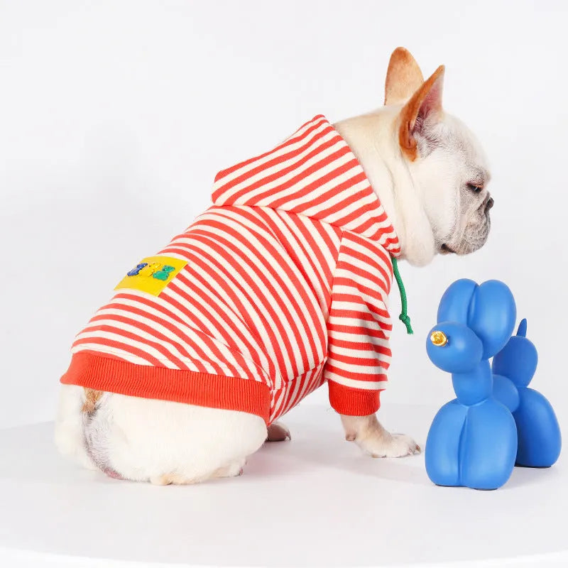 Orange cotton hooded dog sweater for bull pugs in Japanese Korean style