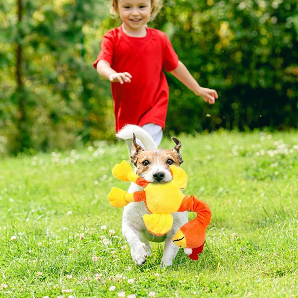 Black, green, and orange screaming chicken sound squeaky dog chew toy.