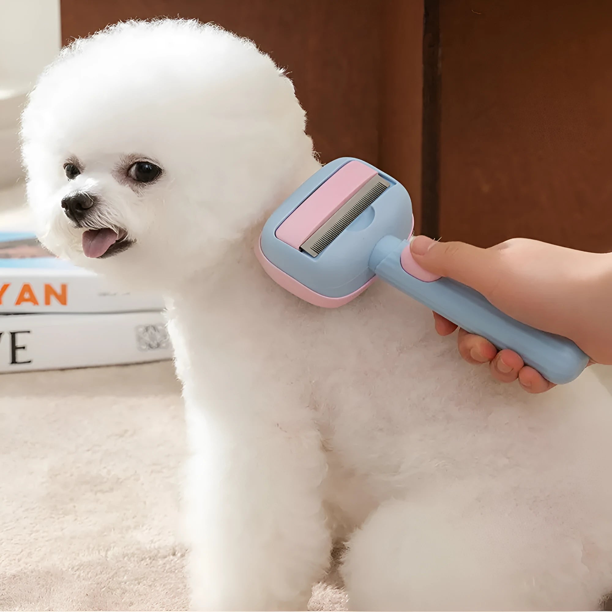 Blue and green double-sided pet grooming brush with deshedding rake and dematting comb