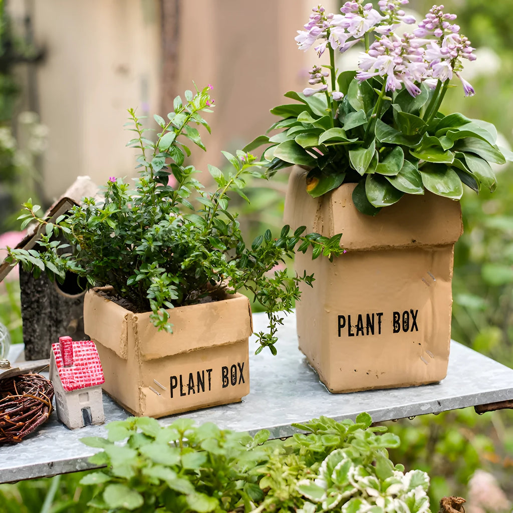 Cement brown paper box design flowerpot with pre-punched bottom drainage hole