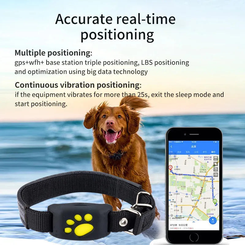 Black and yellow waterproof GPS pet tracker showing compact dimensions next to a dog collar.