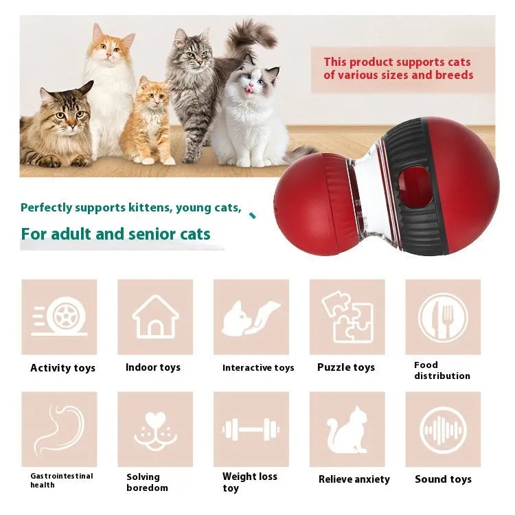 Multicolour plastic rotating cat toy with a dropping ball on a white background