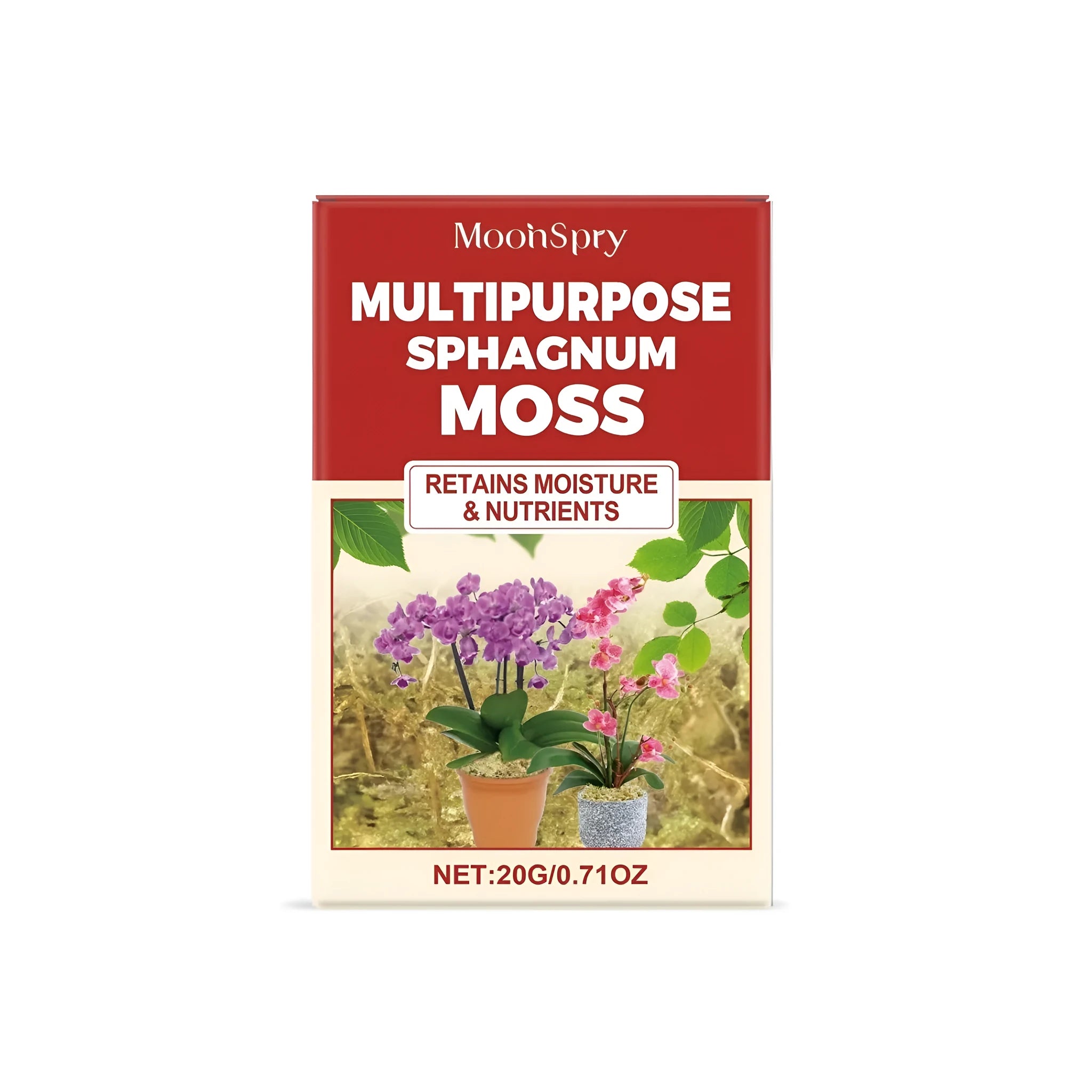 20g bag of dried green sphagnum moss for gardening and craft projects