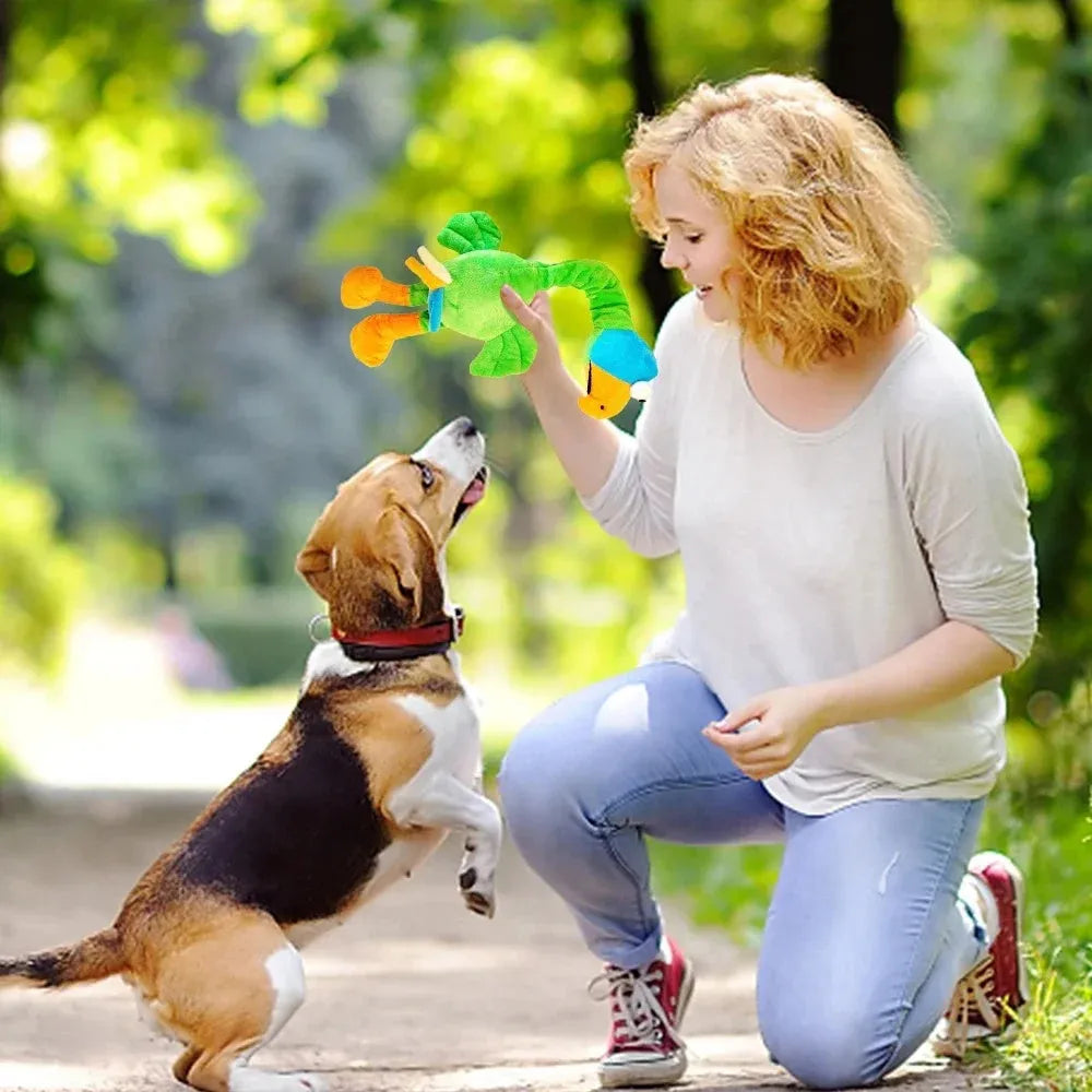 Black, green, and orange screaming chicken sound squeaky dog chew toy.