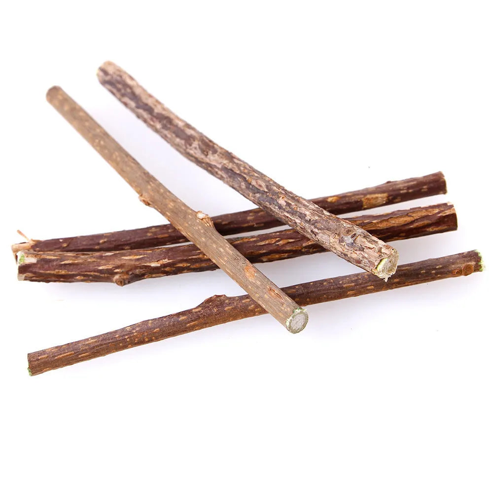 Five 15g pet cat molar rod dental chews in molar rod flavour for adult cats teeth cleaning