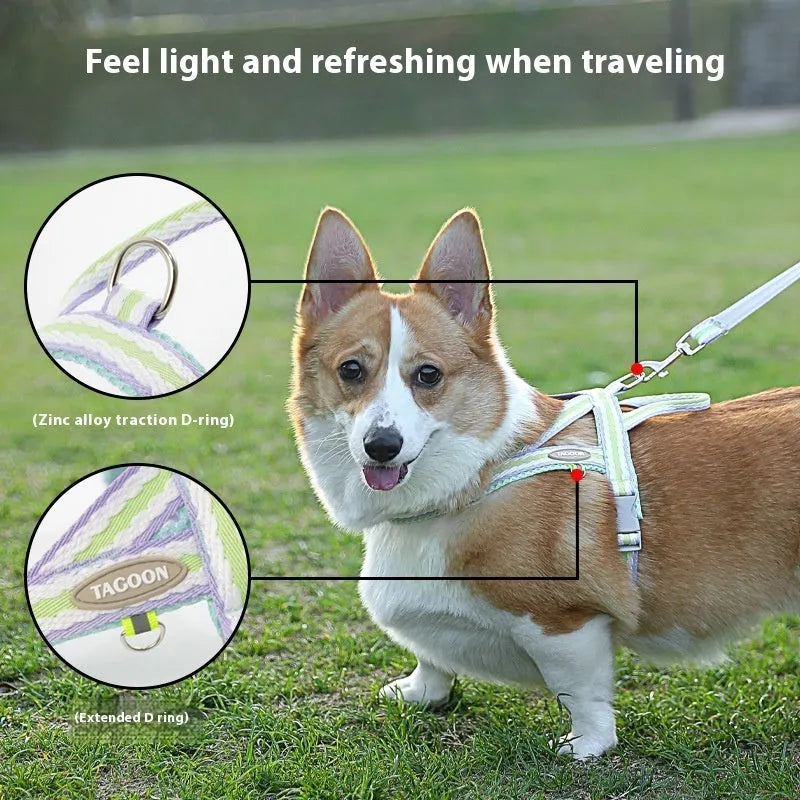 Lightweight polyester dog harness and rope lead set in multiple colours with Y-style design