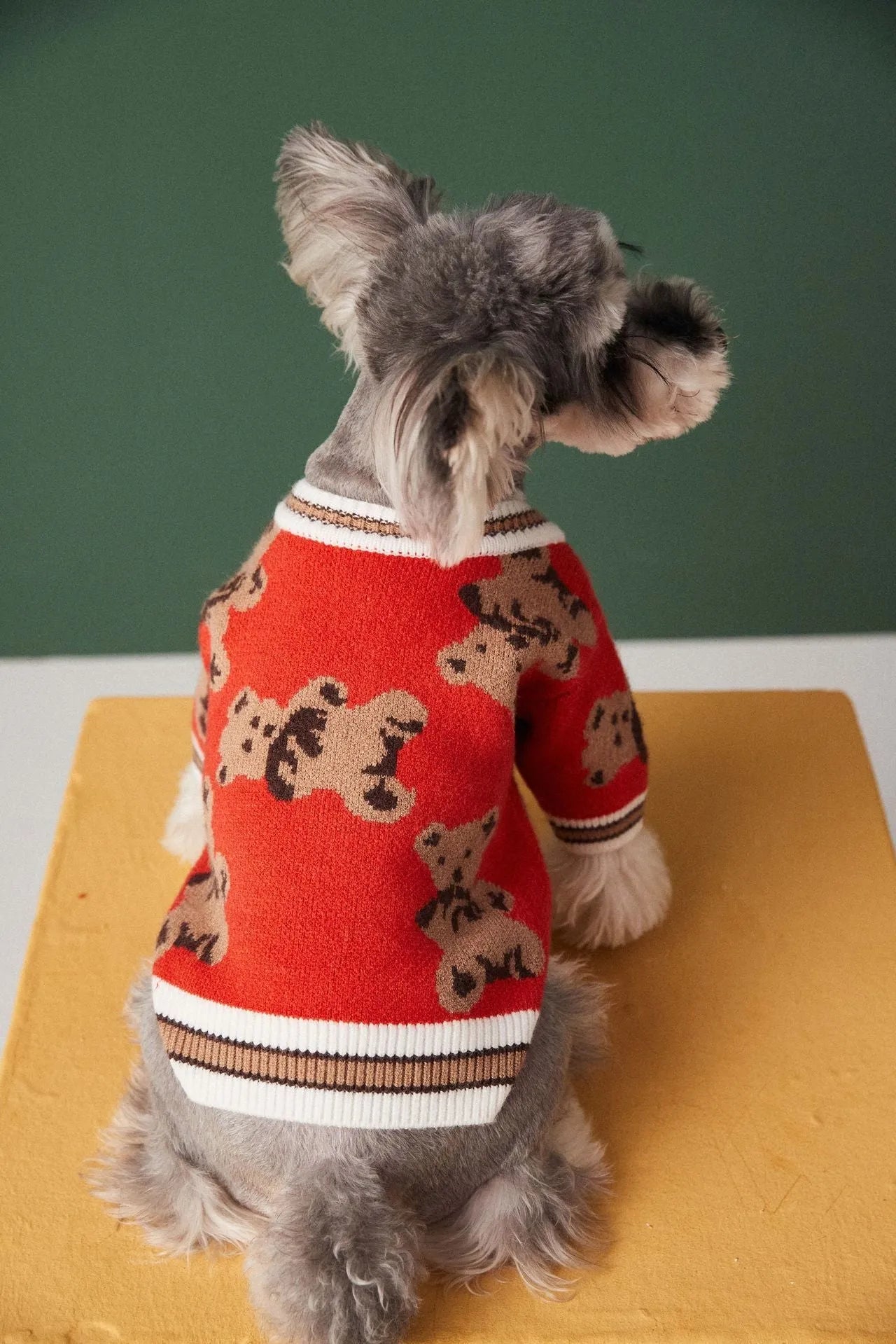 Preppy style wool striped pet sweater for dogs cats in beige colour with V-neck and leash hole on back