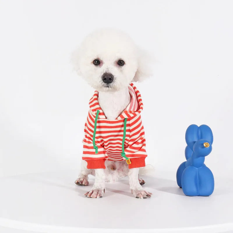 Orange cotton hooded dog sweater for bull pugs in Japanese Korean style