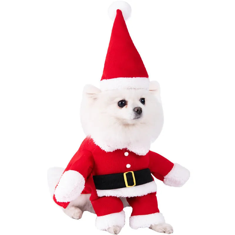 Halloween dog costume selection showing bat suit, devil outfit and pumpkin pack designs