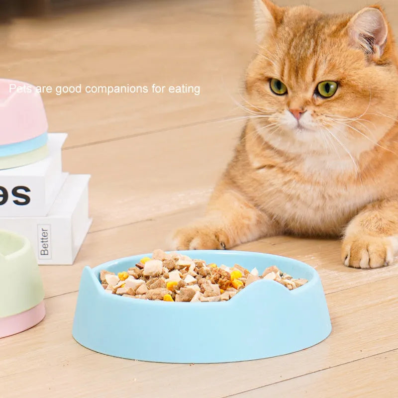 Ceramic dog slow feeder puzzle bowl in blue, green, or pink for small medium large breed puppies