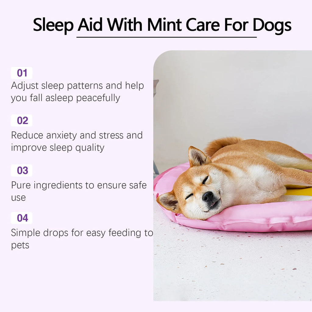 60ml bottle of dog sleep drops with mint extract for canine sleep support