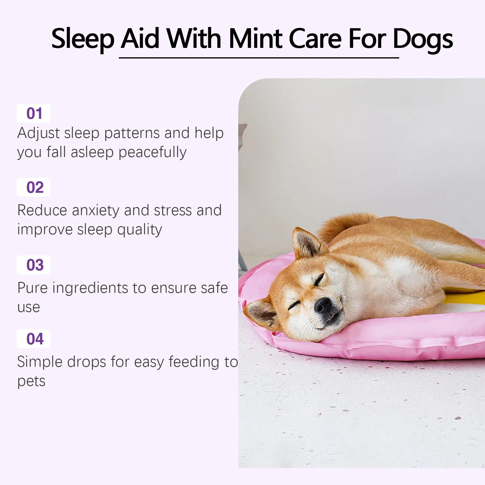 60ml bottle of dog sleep drops with mint extract for canine sleep support