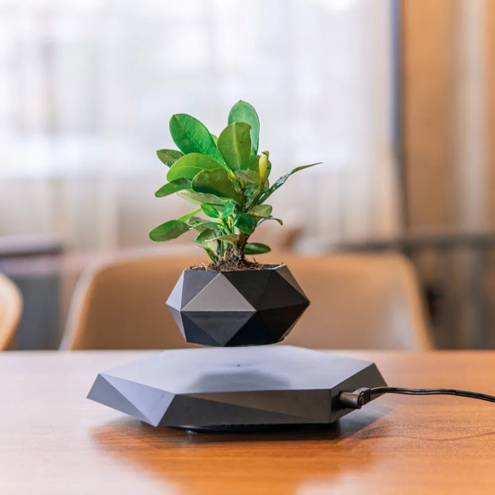 Hexagonal wood grain magnetic levitating flower pot floating above matching base
