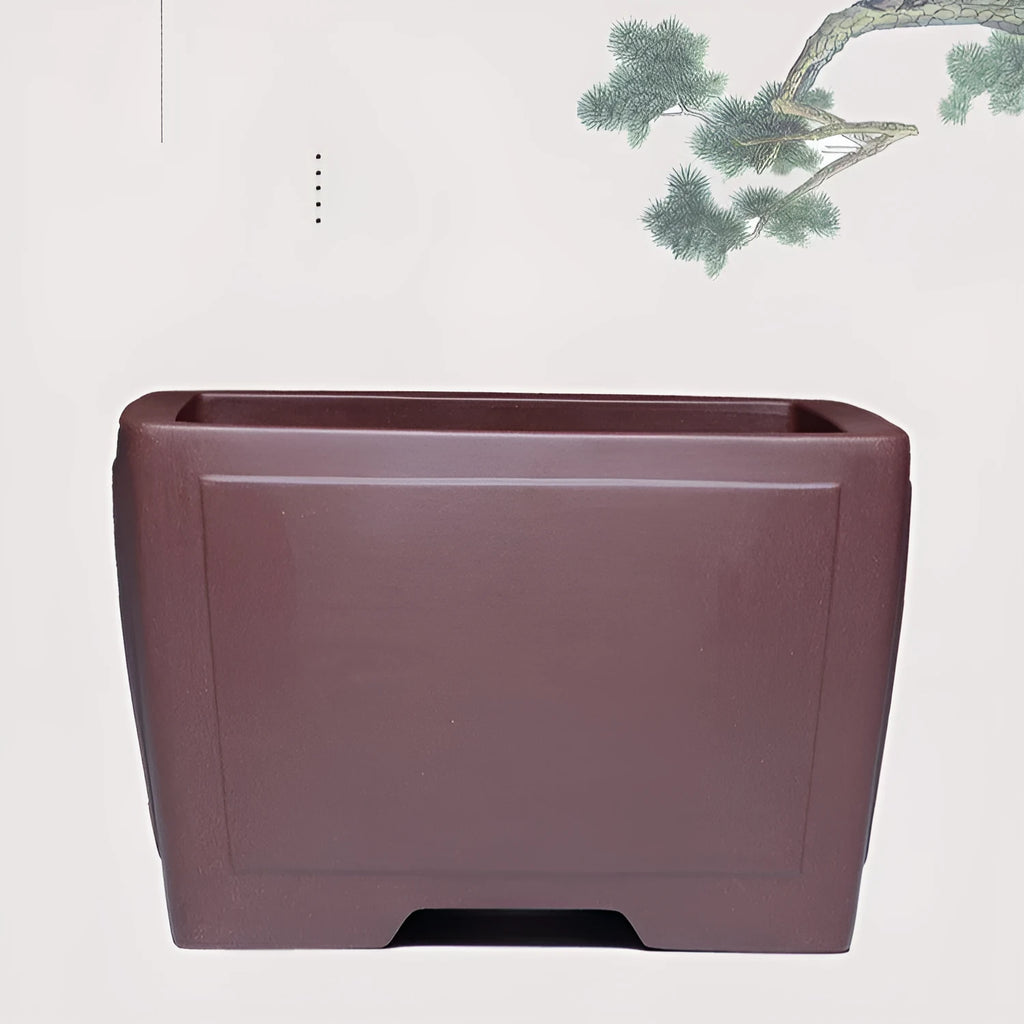 A square purple clay succulent bonsai pot in a classical style on a tabletop.