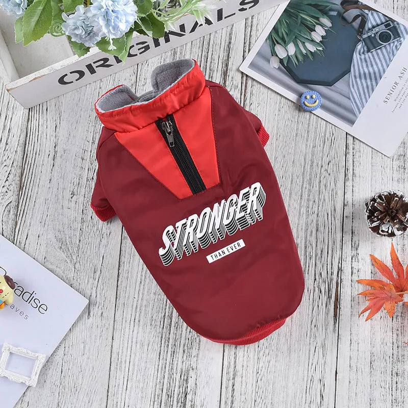 Red cotton dog coat with V-shaped splicing design on a dog