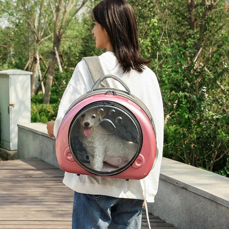 Transparent space capsule cat carrier in metallic colour options with PC canvas construction