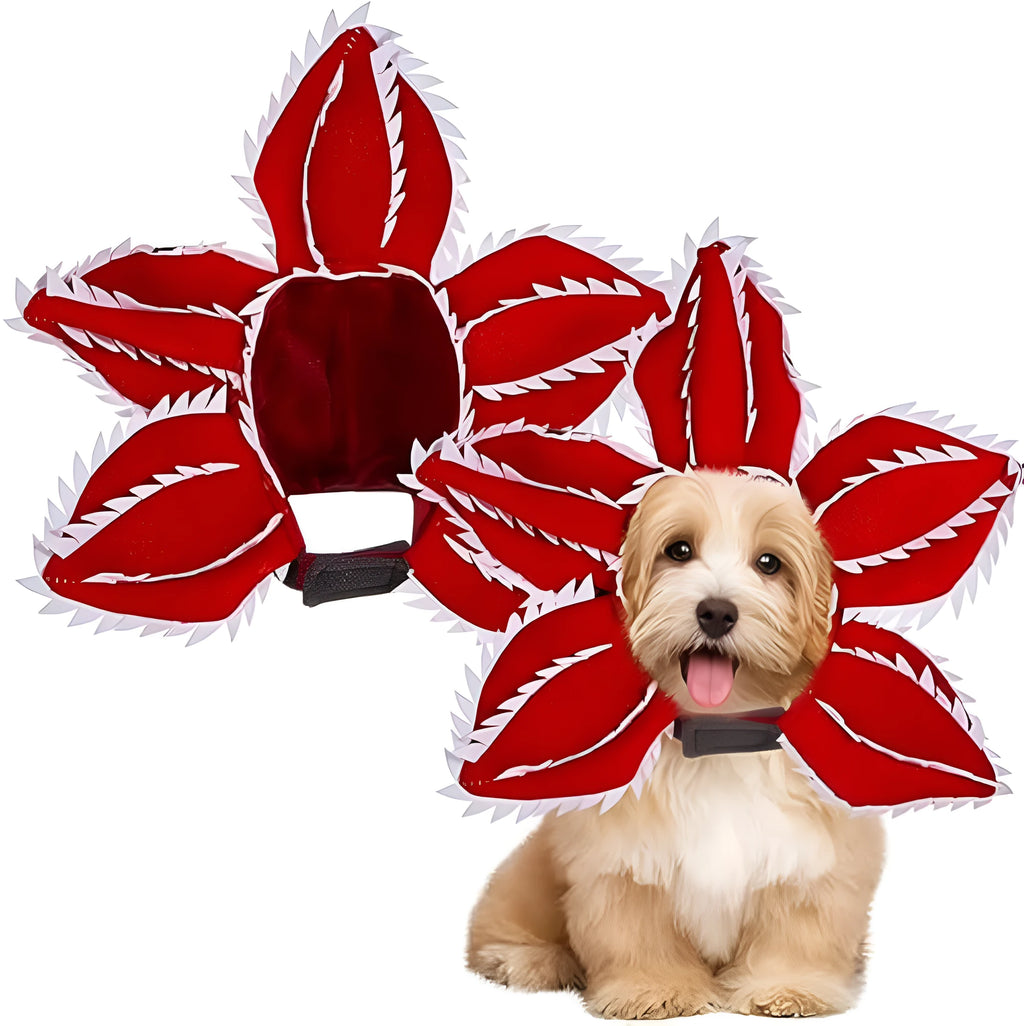 Medium dog wearing Halloween costume with demon hat flower headband and chomper style top