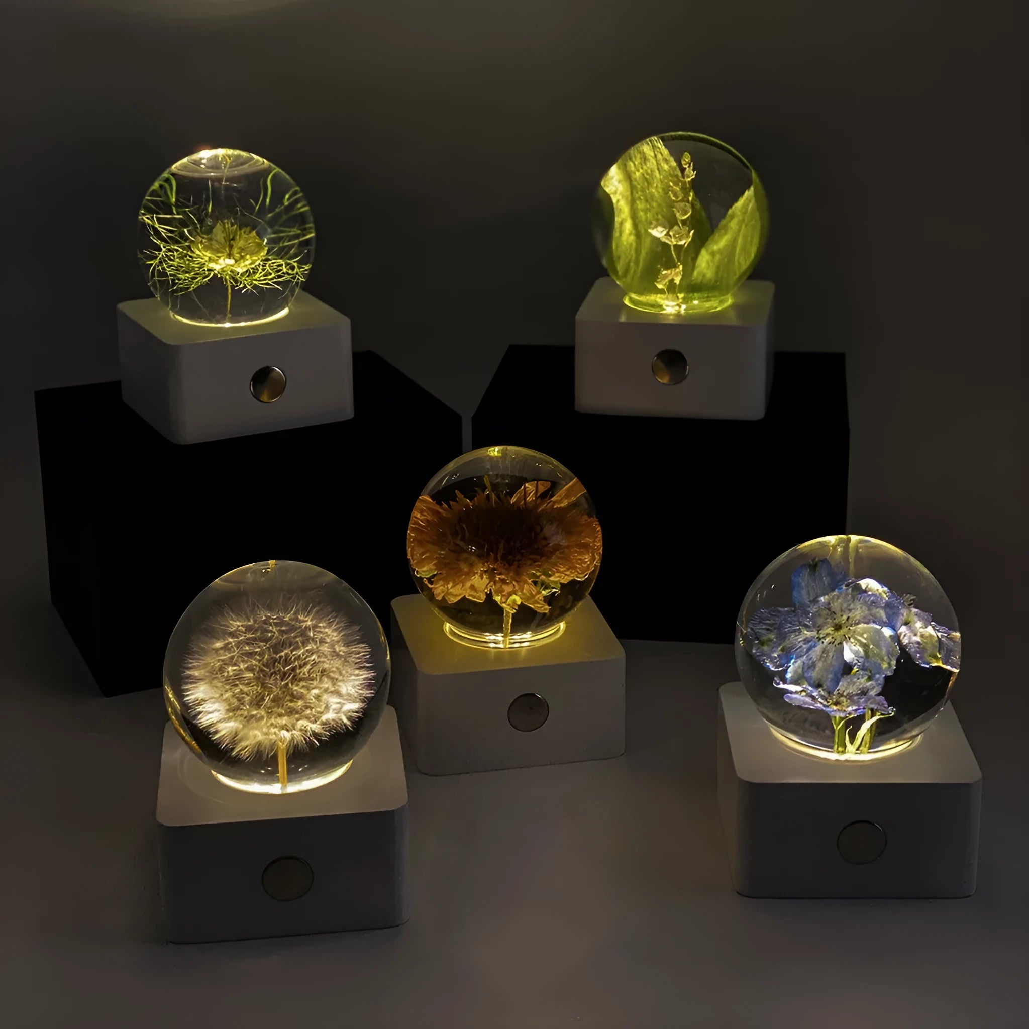 Small 8cm USB desktop night light with a preserved dandelion and sunflower inside.