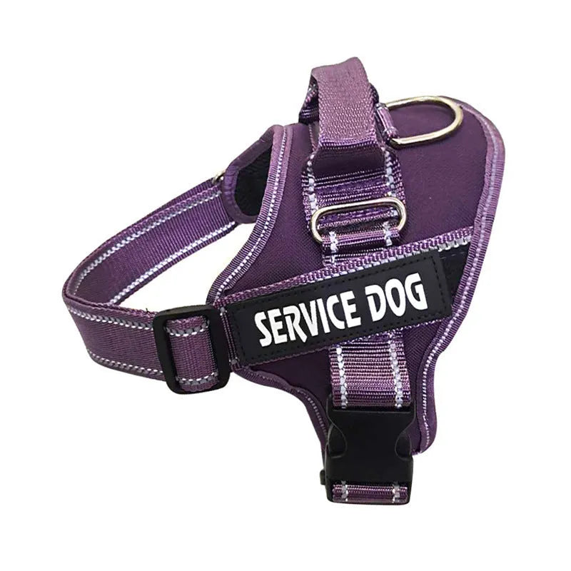 Oxford cloth dog chest strap harness with reflective ribbon and alloy buckle, blue colour, on white background