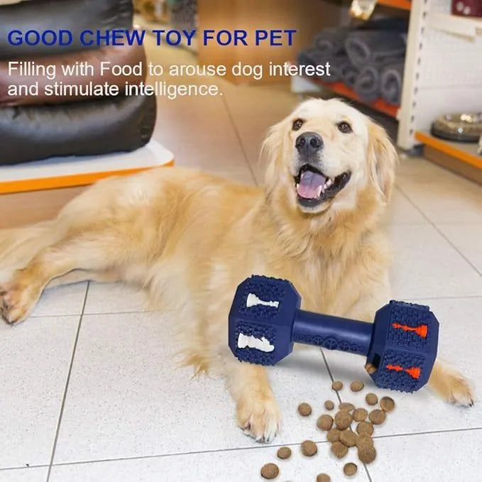 Durable rubber dumbbell dog chew toy with hollow ends for treats and textured cleaning surface