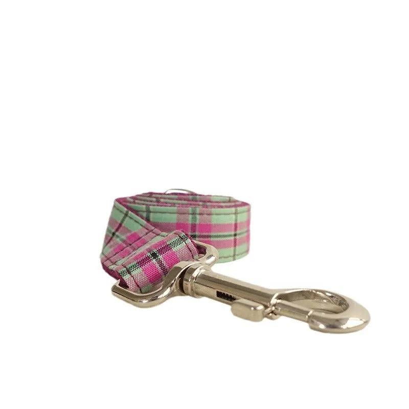 Mint green polyester dog collar and leash set for pet walking