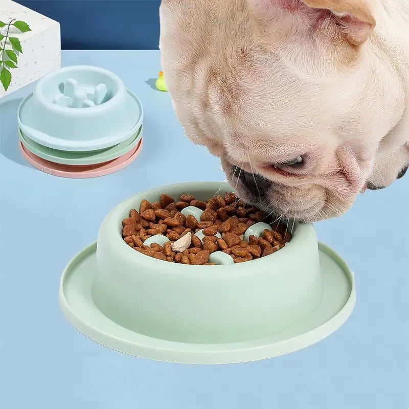 Blue pet slow feeder bowl with raised obstacles on a kitchen floor.