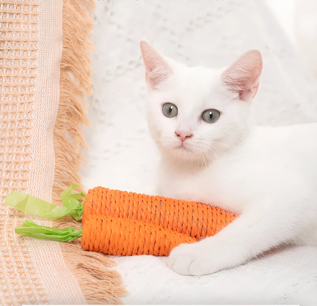 Assortment of interactive cat toys including carrot-shaped paper toys, ringing stones, and cat sticks in two sizes
