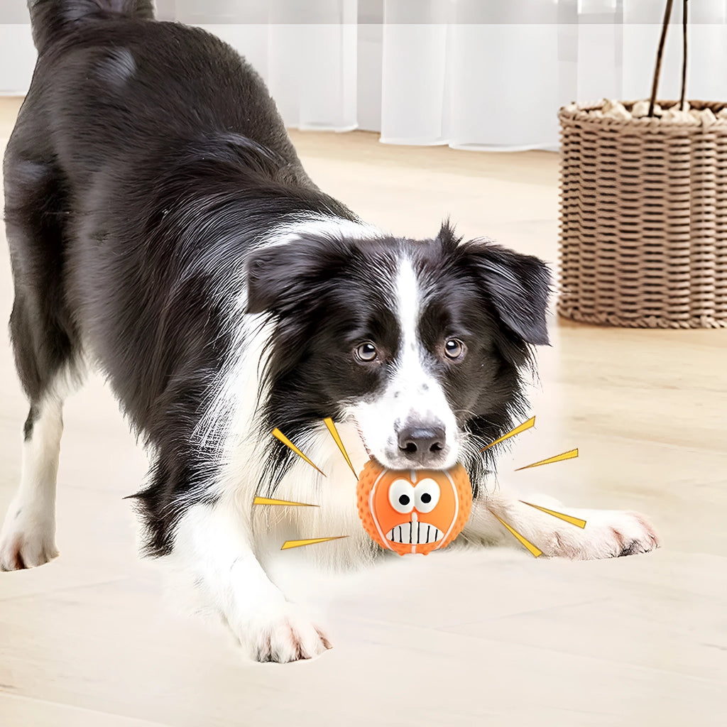 Green, orange, and yellow squeaky latex dog balls with smiley faces for pet play.
