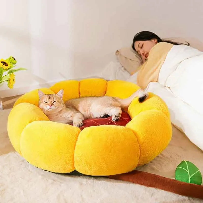 PV velvet cat nest mat pet bed in sunflower, dinosaur or chinchilla designs showing nest-style construction
