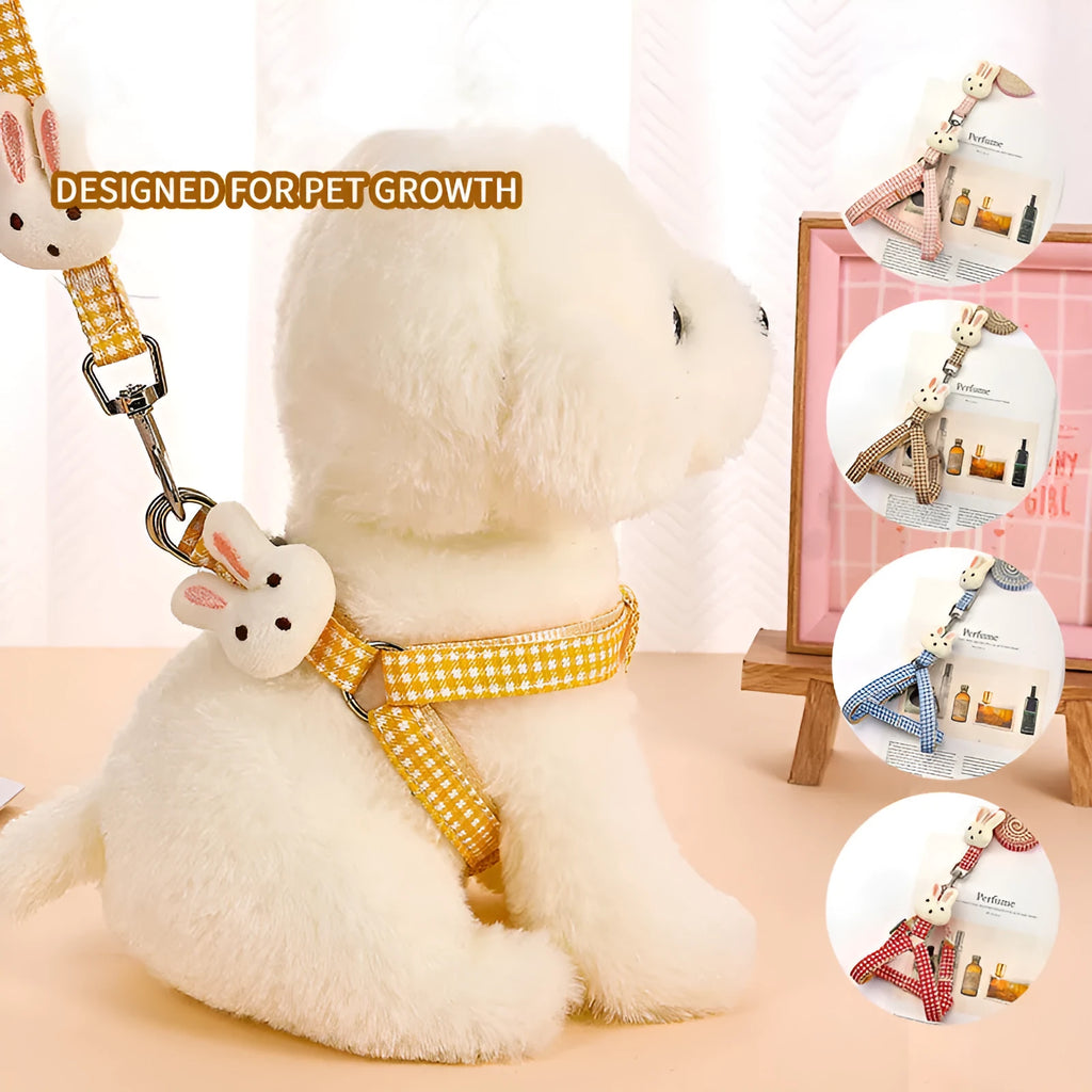 Small dog harness and leash set in nylon with anti-pull Y-strap design and quick-release buckle