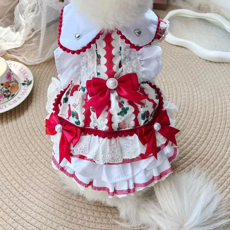 Small dog wearing a rabbit skirt coloured princess-style dress.