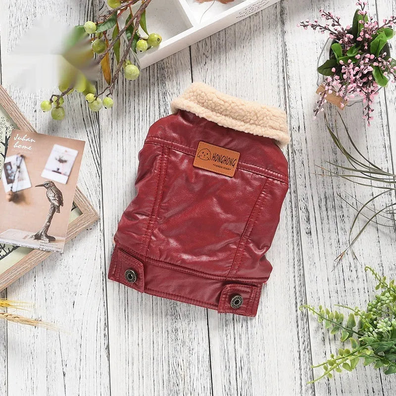 PU leather pet coat with fleece lining in black or red colour with British style design