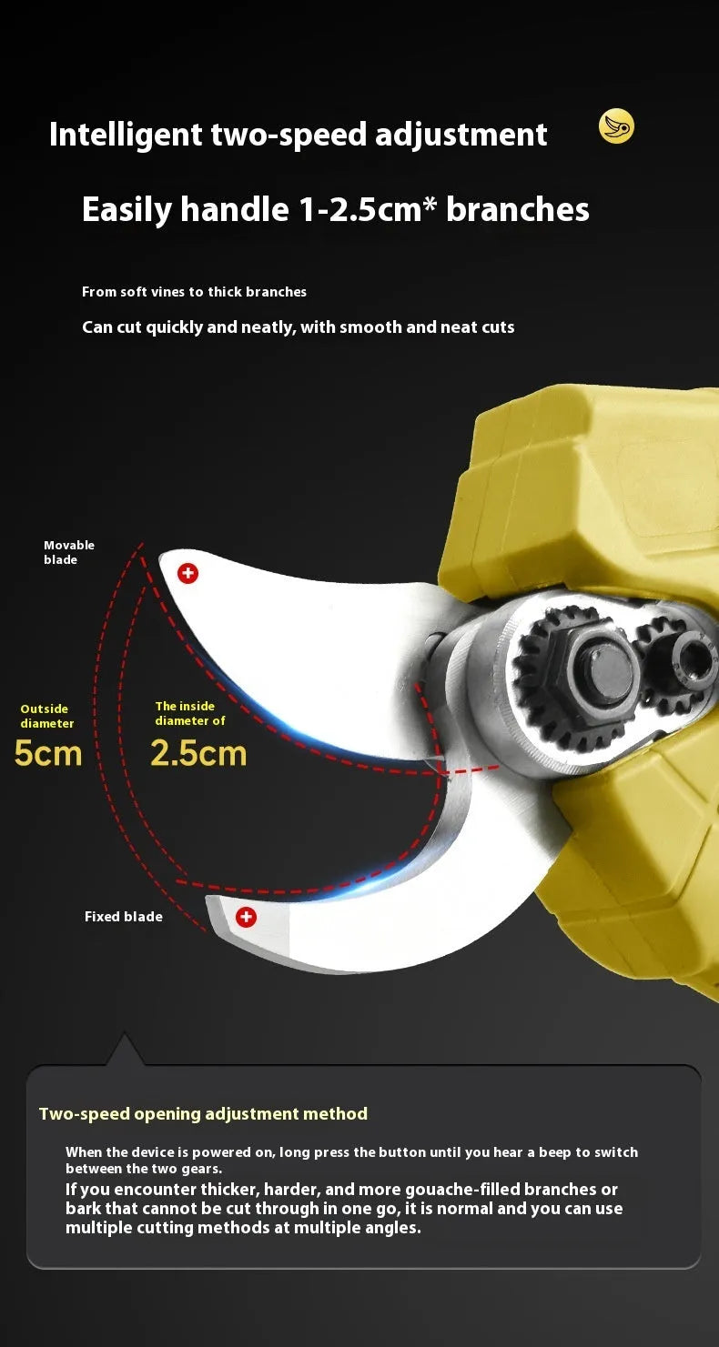 Cordless electric pruning shears with plastic storage box containing two lithium batteries and charger
