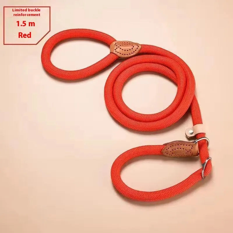 Nylon dog training rope in black, 1.5m length, 1.0cm thickness, on plain background