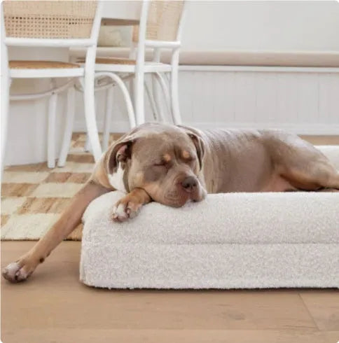 Rectangular pet sofa bed with thickened mattress in a neutral colour for dogs