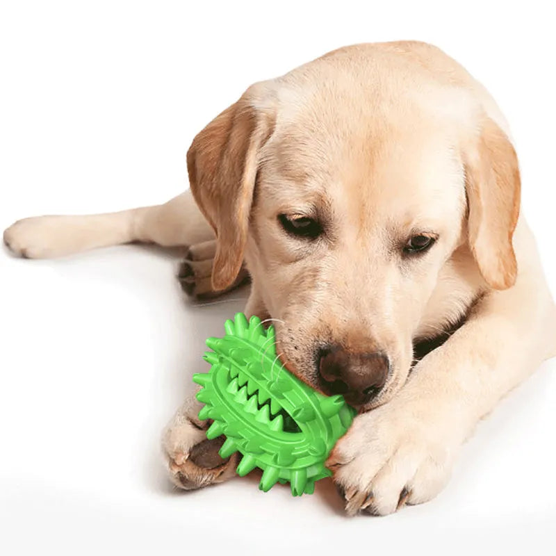 Green cactus-shaped dog toothbrush toy for aggressive chewing and dental care