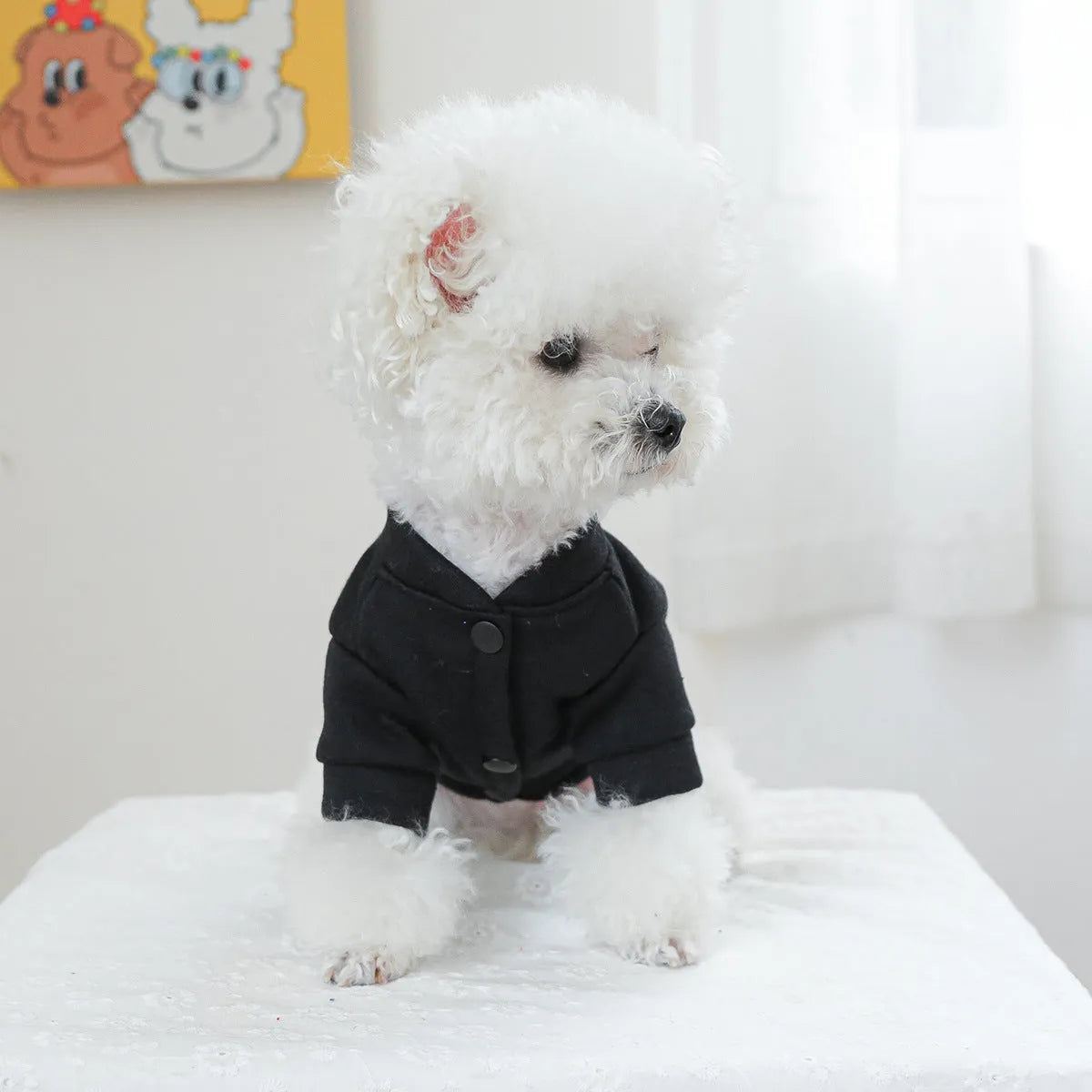 A casual grey pet knitwear jumper for dogs or cats, shown in Kiss Sweater colour.