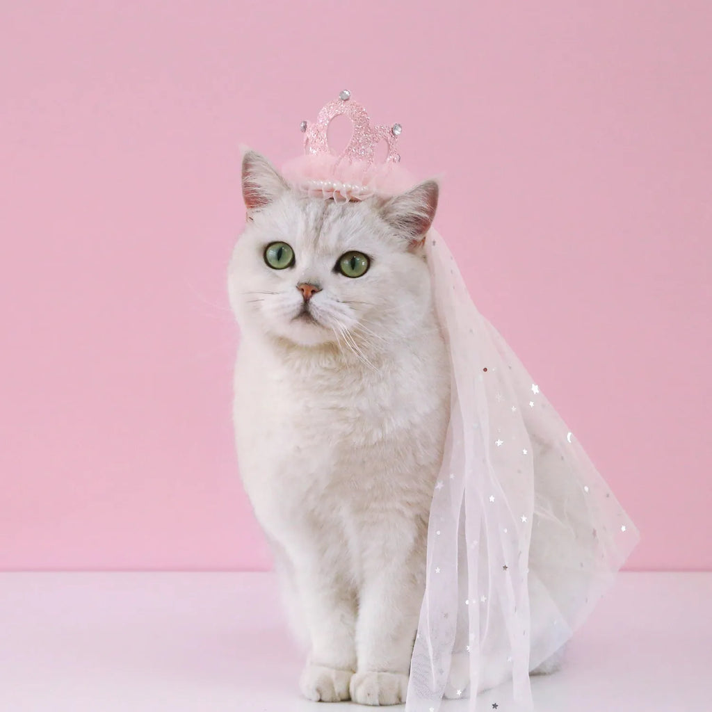 Pet princess crown headdress with veil in cotton polyester material, beige and pink colour options