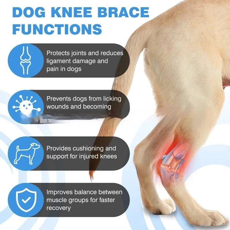 Black polyester pet leg guard for joint protection and ACL tear rehabilitation