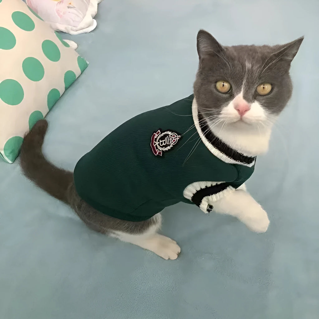 Silver college style winter coat for British Shorthair cat shown in blue duck colour option