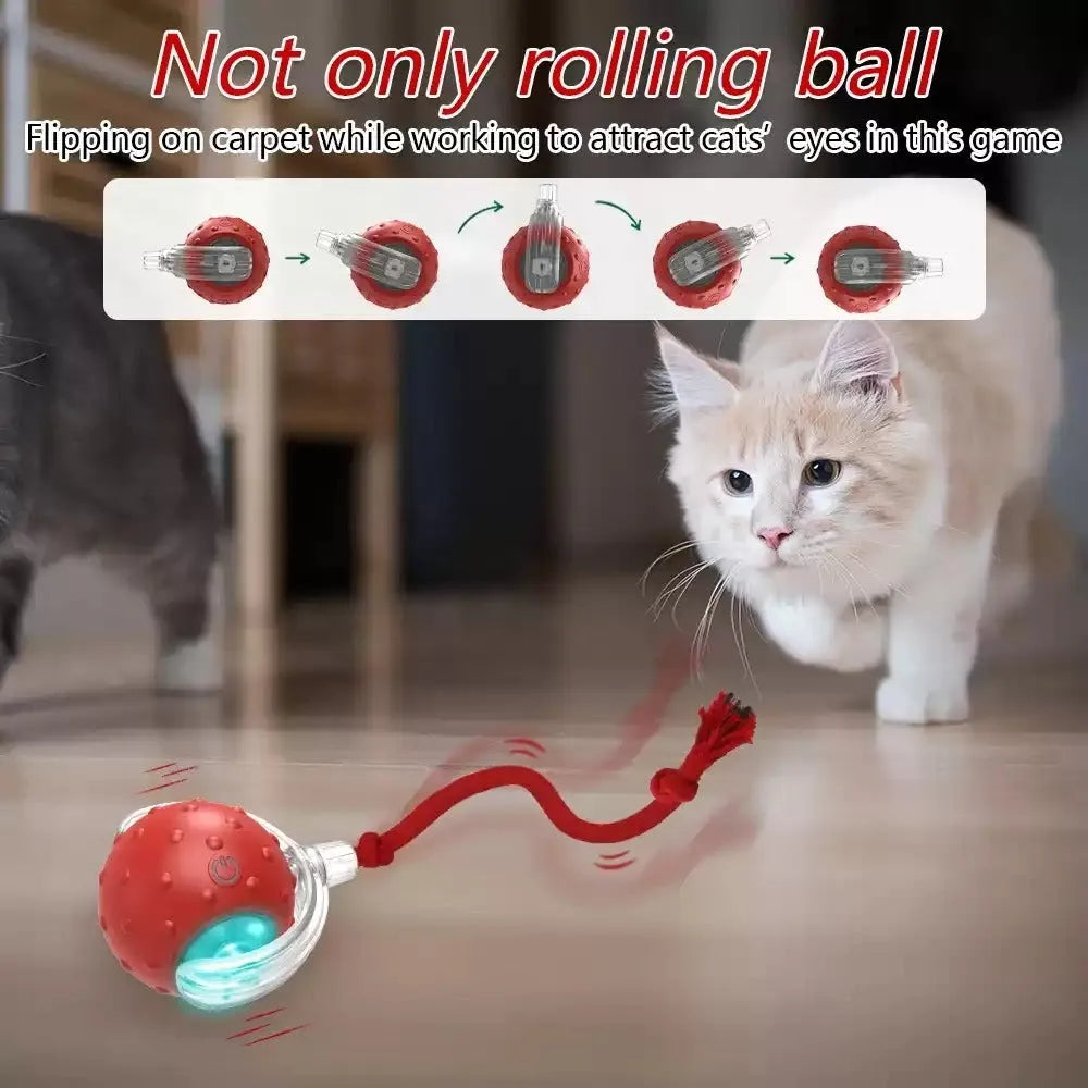 Interactive cat toy ball with feather tail and LED lights in red colour option
