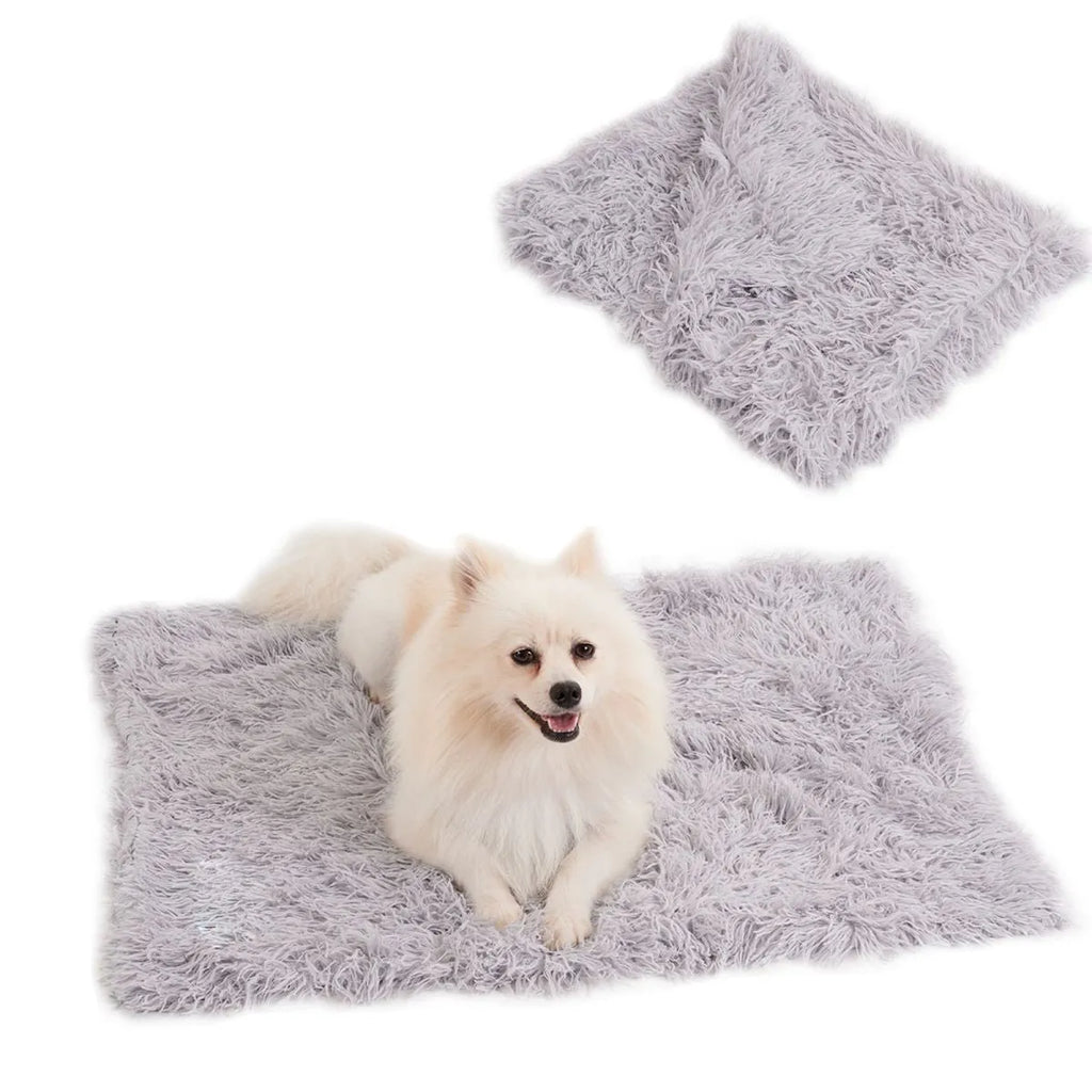 Grey velvet and plush pet blanket on a sofa, showing its size and texture.