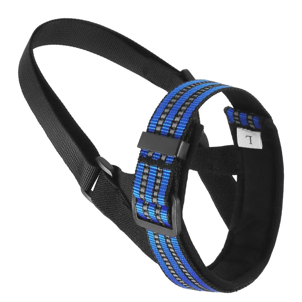 Adjustable reflective dog muzzle in blue, shown on a large dog model, with straps and nose-guard visible.