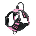 Adjustable outdoor dog harness in Oxford cloth shown in multiple colours and sizes.