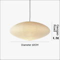 Modern minimalist paper pendant lamp with either flat disc or spherical shade, shown as a ceiling light.