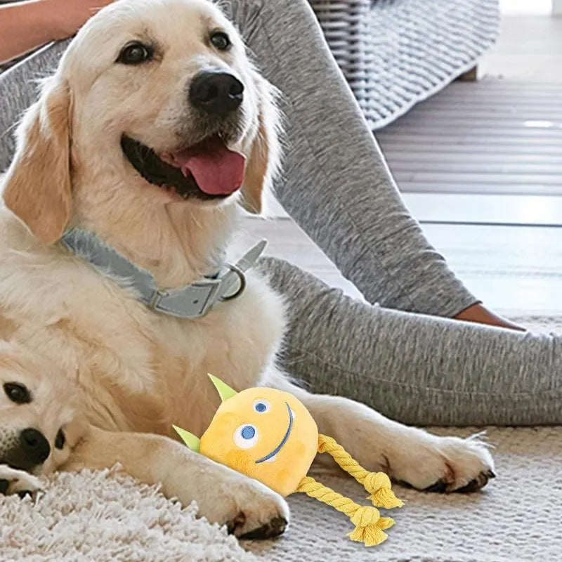 Blue and yellow cartoon-style dog squeaky toys with knot design cotton rope construction
