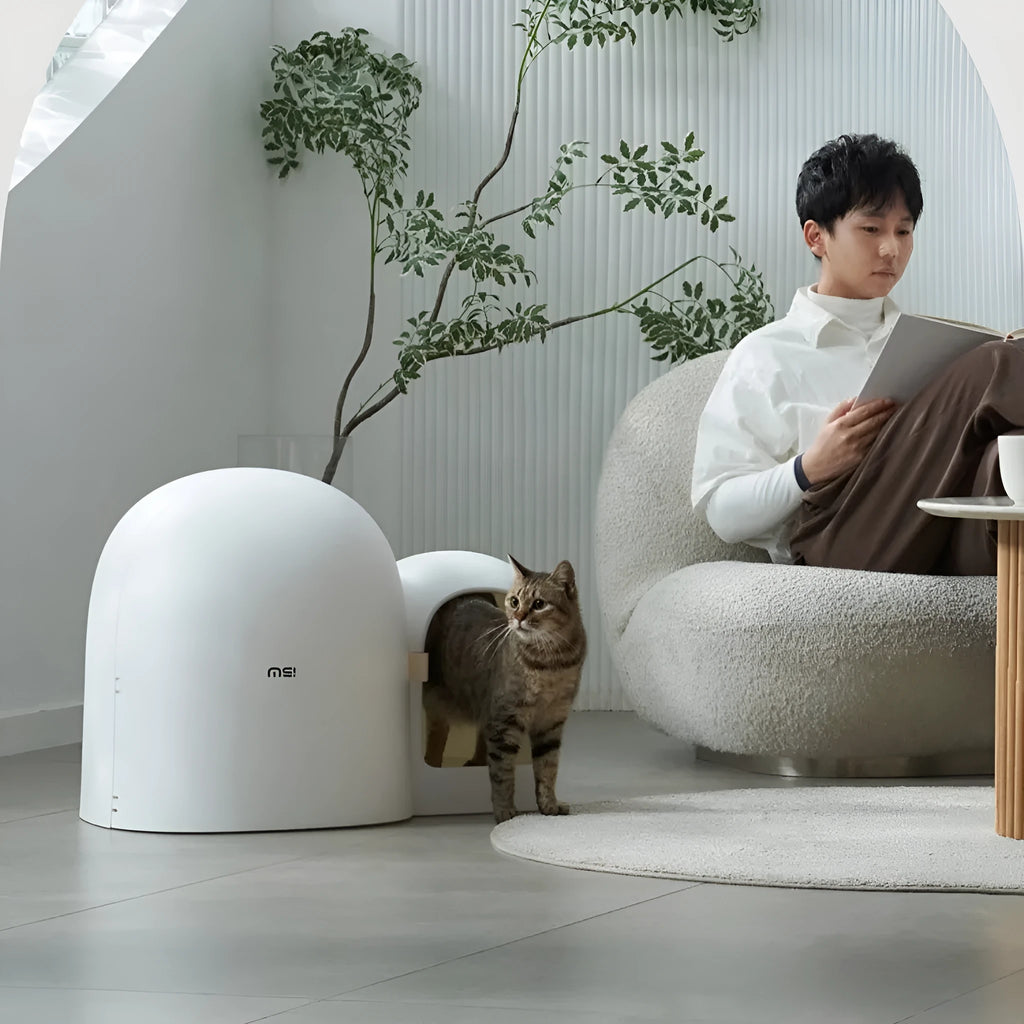 Fully enclosed oversized cat litter box in ABS plastic showing interior space and covered design