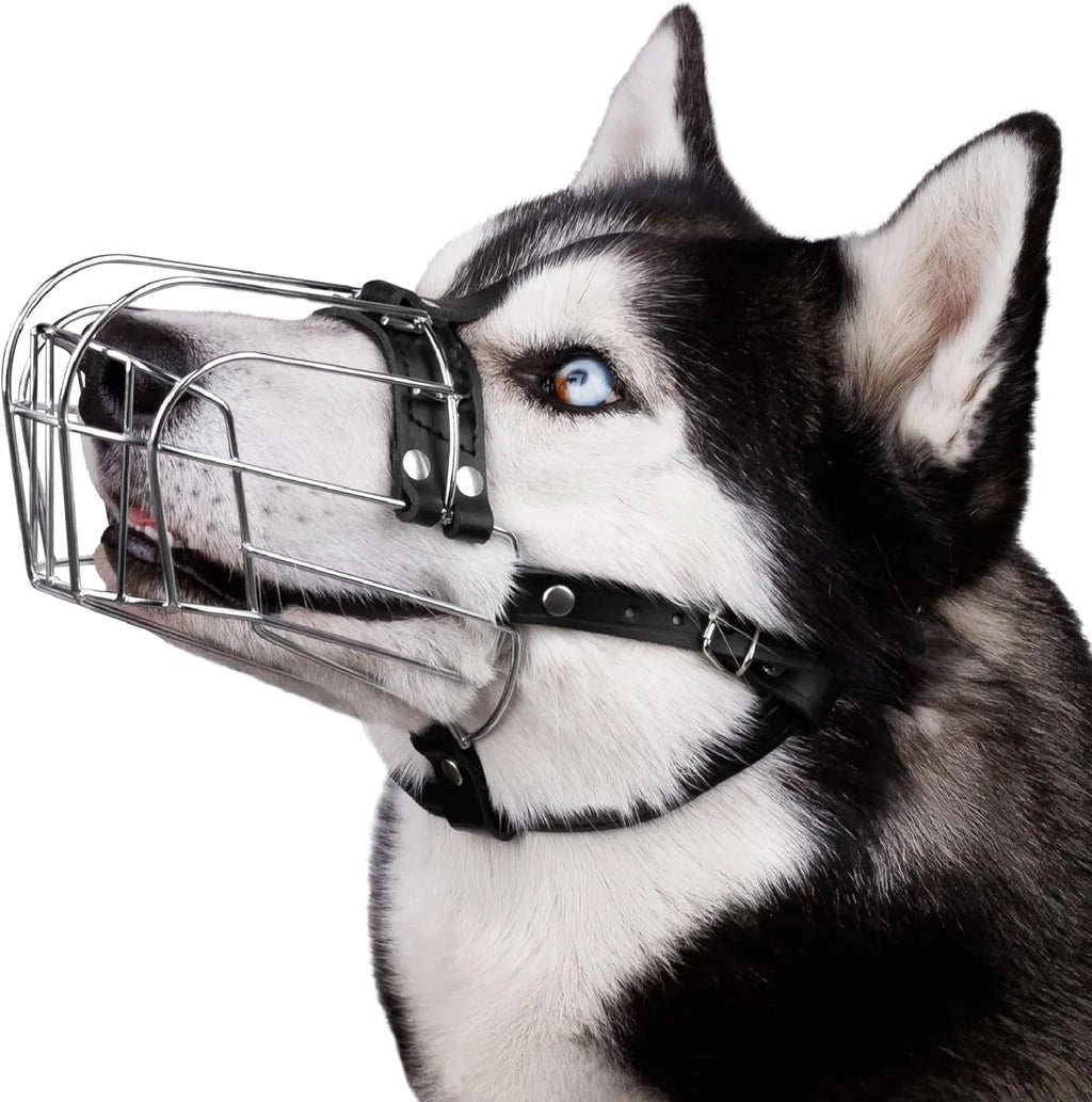 Black metal dog muzzle designed for Golden Retrievers and German Shepherds