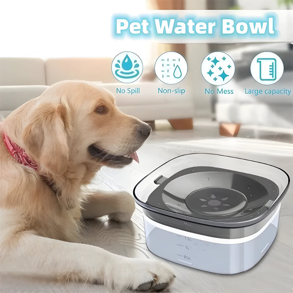 Transparent 2-litre dog water bowl with floating slow-feed disk and non-slip frosted base